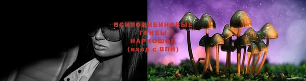 2c-b Алексин