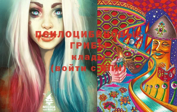 2c-b Алексин